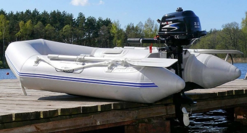 Лодочный мотор Parsun F 2.6 BMS