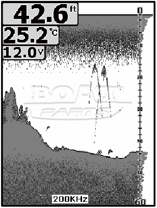 Эхолот Phiradar FF668C 