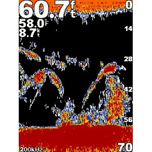 Эхолот Garmin Fishfinder 400C